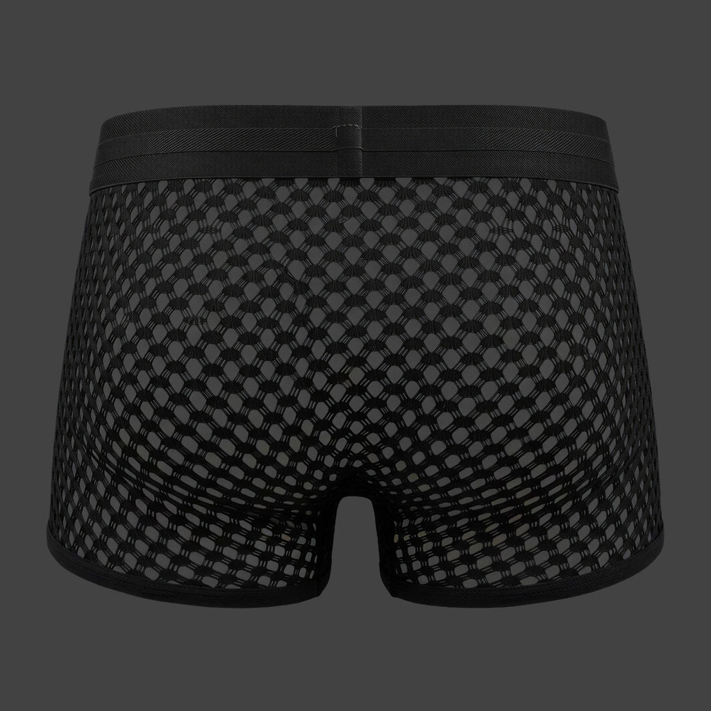 Boxer WIRE