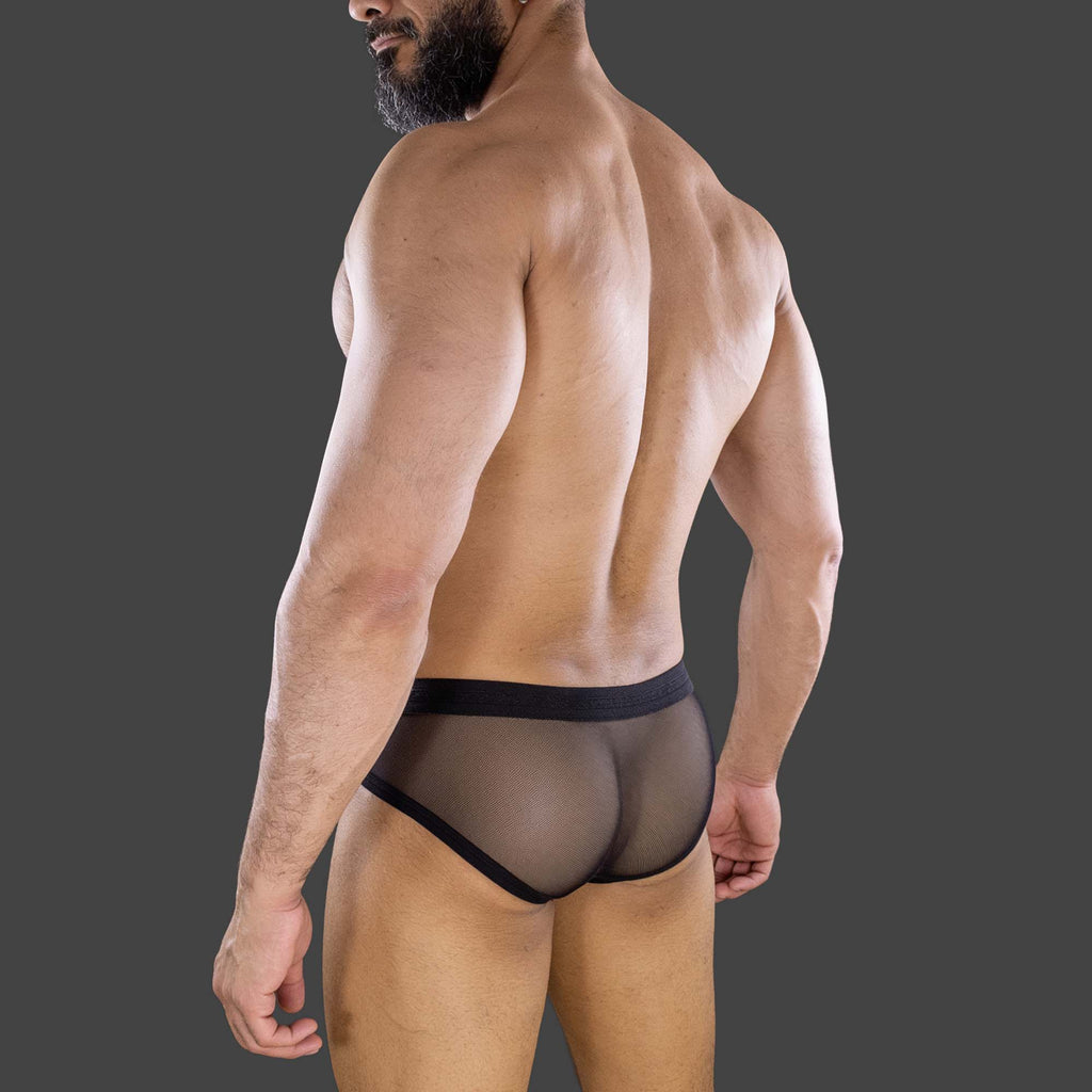 Modelo usando Slip Transparente AP. Vista posterior en tul completamente transparente. Alepadron